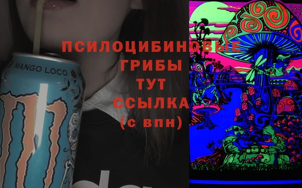 СК Бугульма